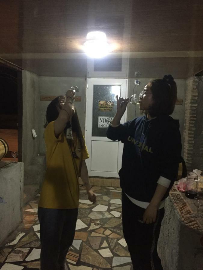 סינגאני Guest House Loza מראה חיצוני תמונה